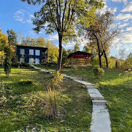 Casa De Pe Un Deal-Provita De Sus-Prahova Exterior foto